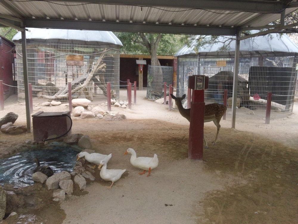 Bonnie Springs Ranch Motel 블루 다이아몬드 외부 사진