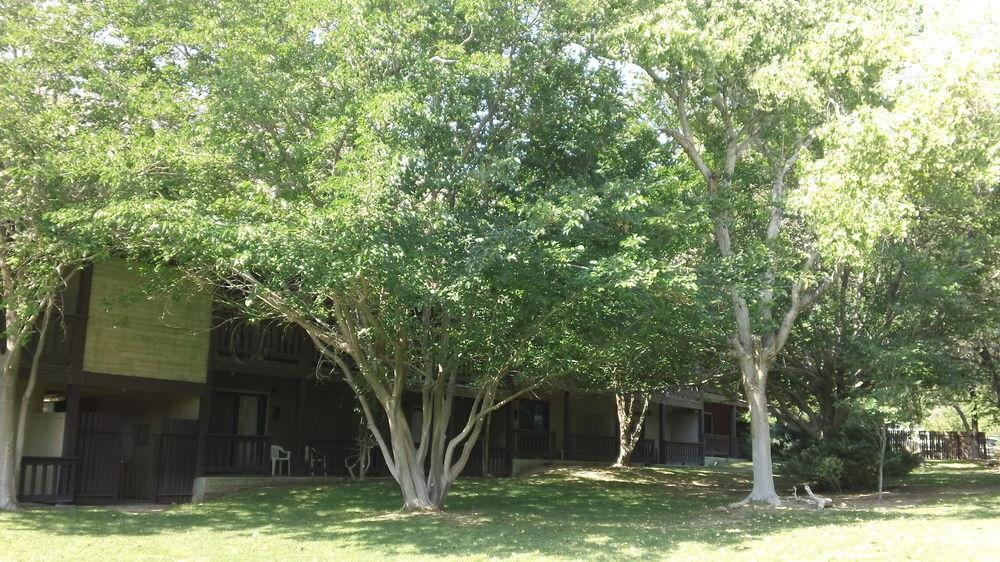 Bonnie Springs Ranch Motel 블루 다이아몬드 외부 사진