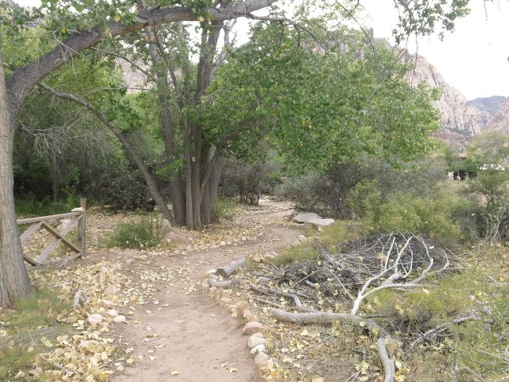 Bonnie Springs Ranch Motel 블루 다이아몬드 외부 사진