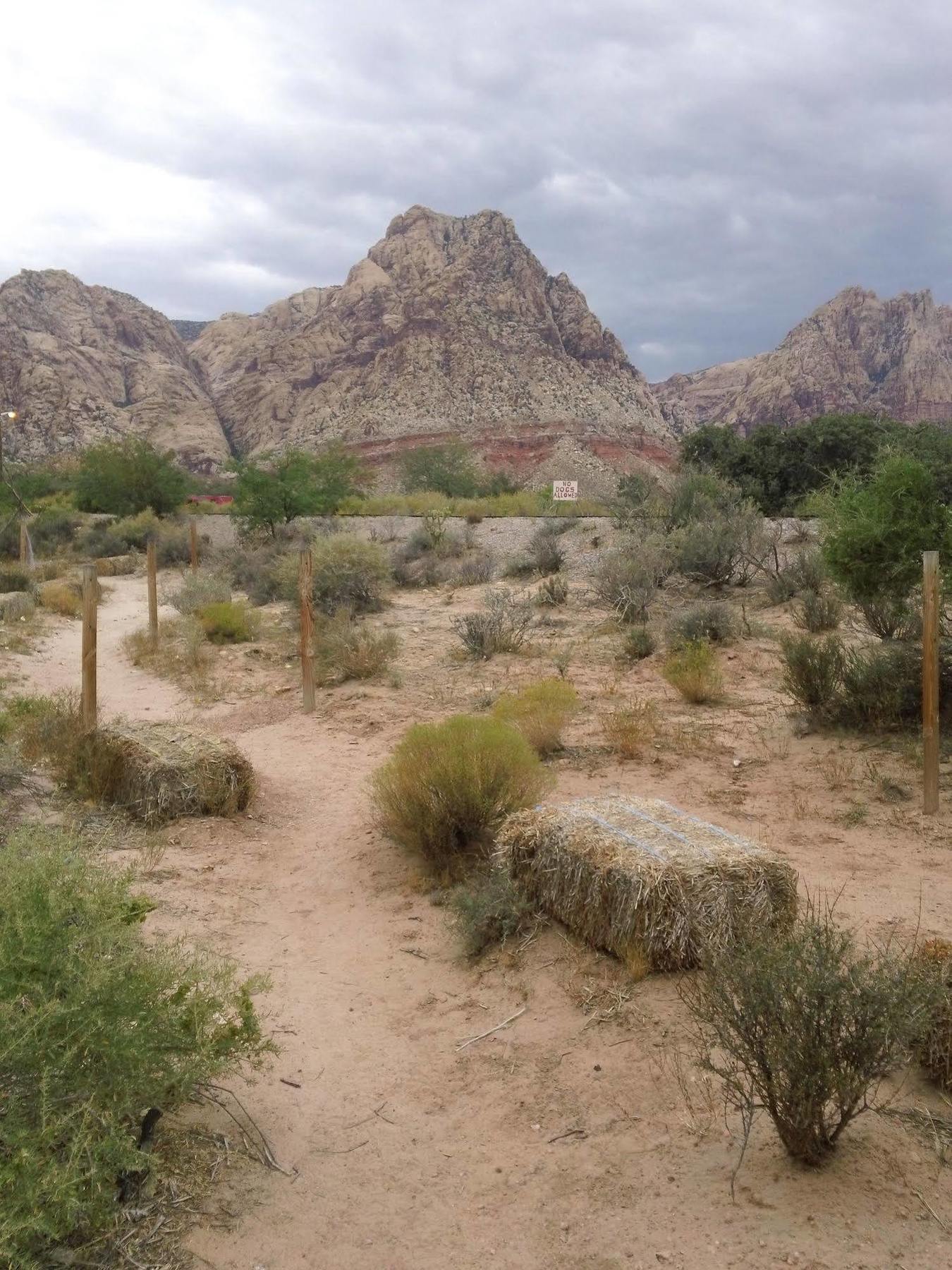 Bonnie Springs Ranch Motel 블루 다이아몬드 외부 사진